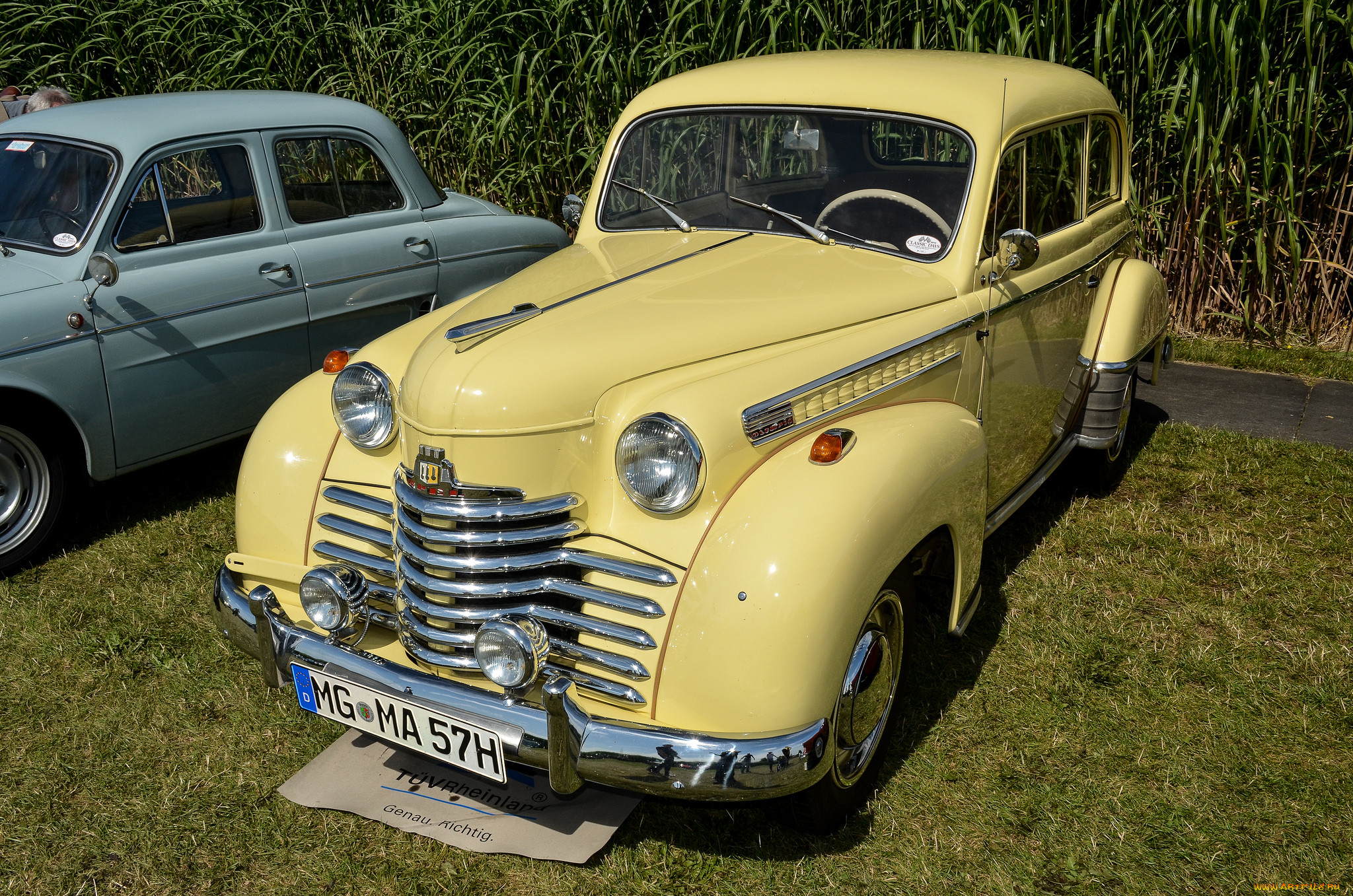opel olympia 1950, ,    , , , , 